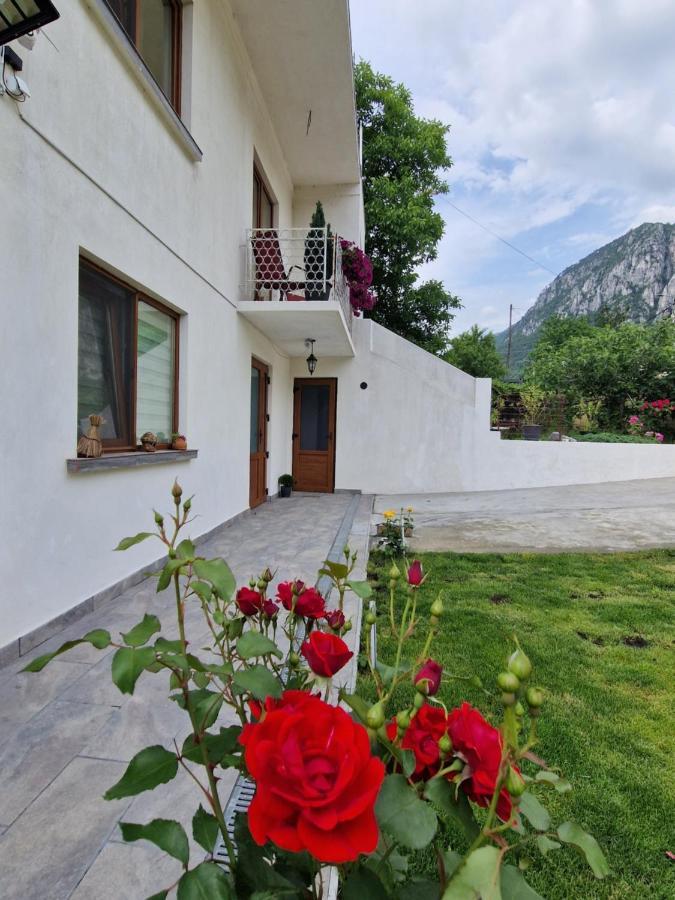 Готель Renate House Беїле-Херкулане Екстер'єр фото